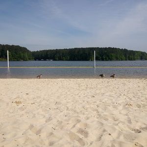 Meet your Posher, Tamara